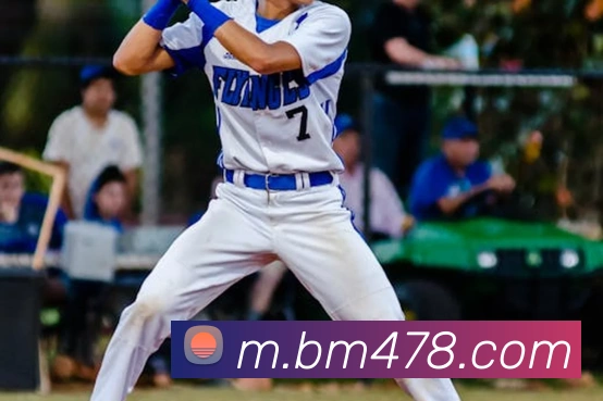 未来规划